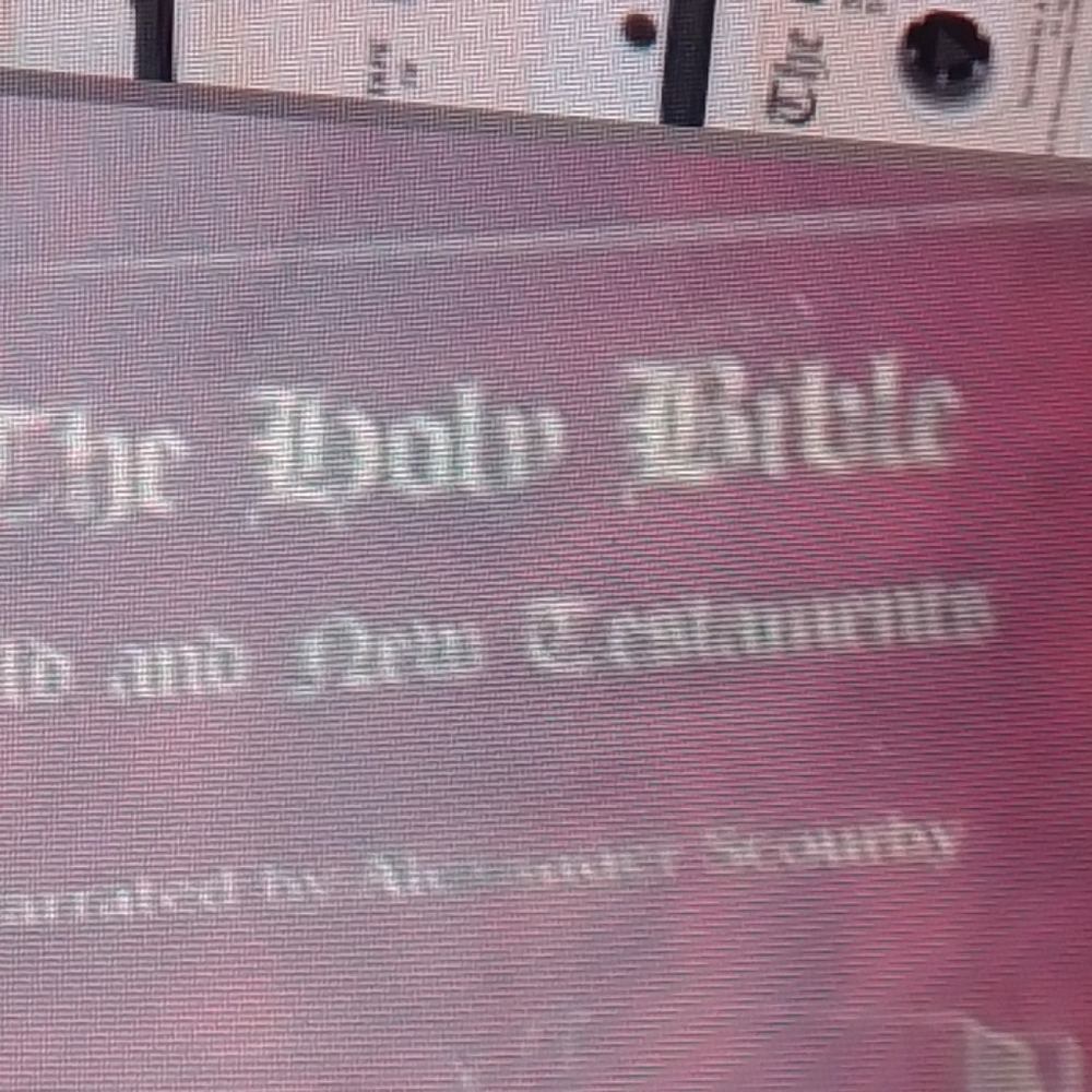 The Holy Bible Cassettes !